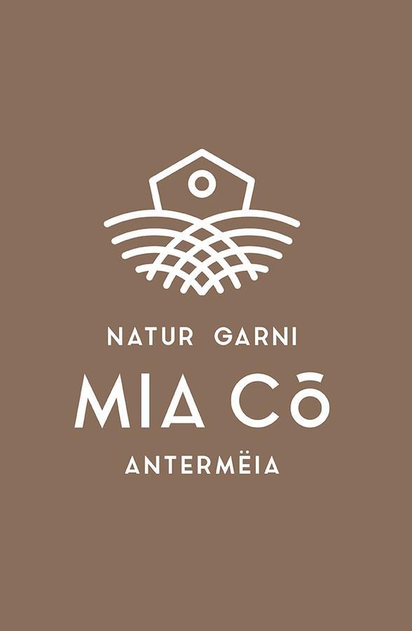 Garni Mia Co Bed and Breakfast Antermoia Buitenkant foto